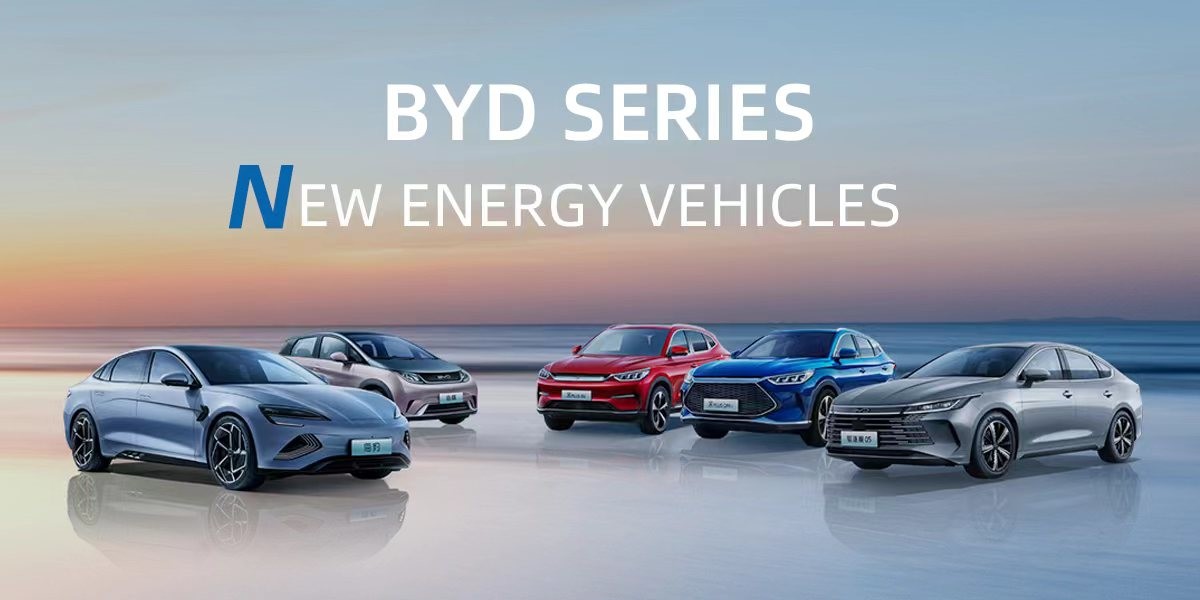 qualité Voiture de New Energy usine