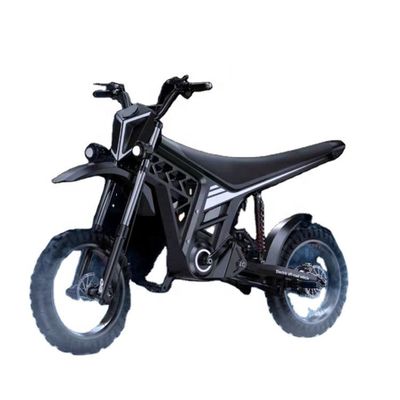 60V 20Ah frein à disque avant arrière Citycoco scooter électrique hors route moto électrique